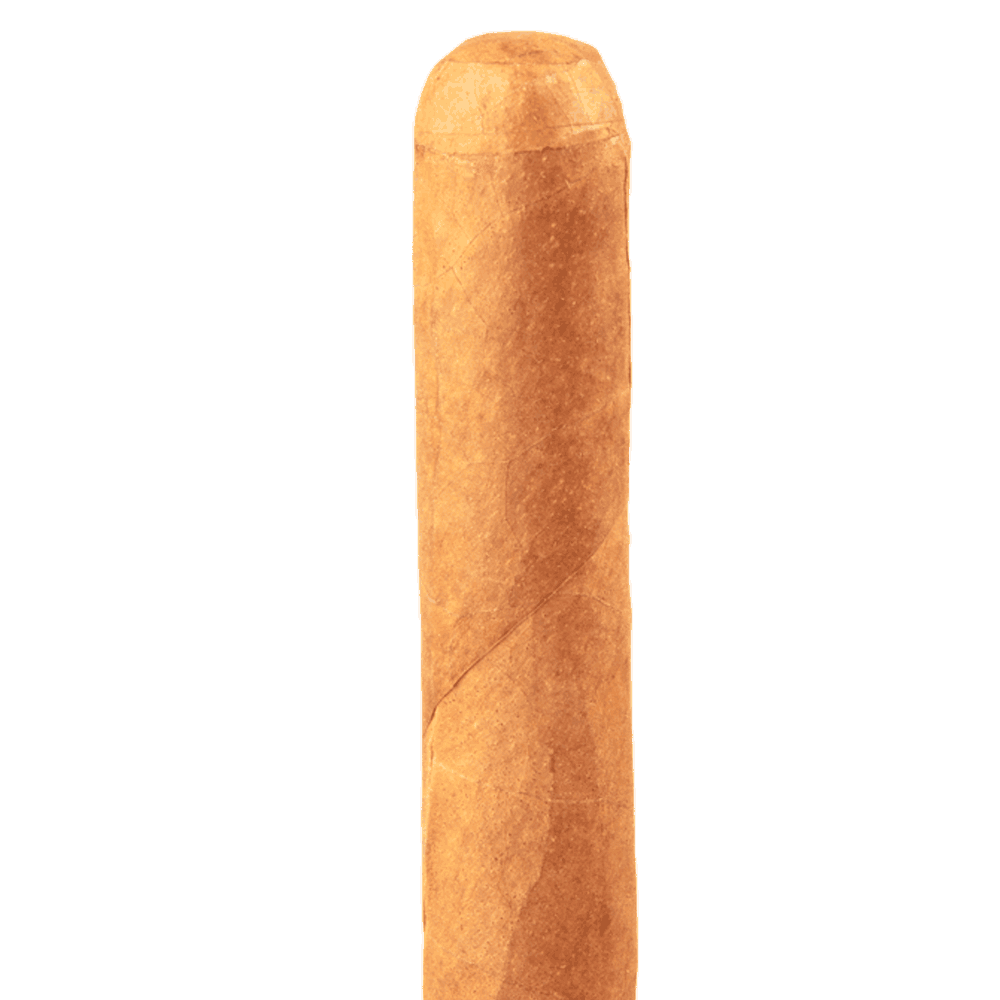 Honduran 2019 Robusto, , cigars